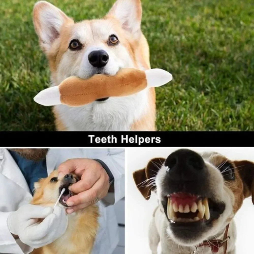 Dog Squeaky Toys Cute Plush Toys‎ Pet Toys for Small Medium & Large Dogs Set Lot